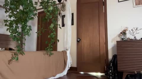 pnkgf online show from 02.19.25