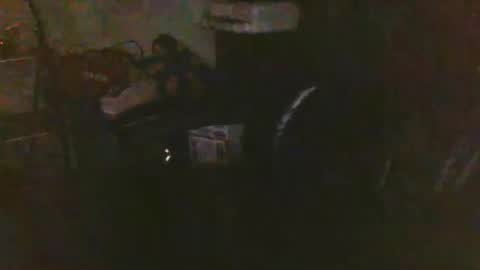 pnwbull25 online show from 03.27.26