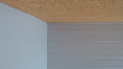 podolatra3 online show from 02.19.26