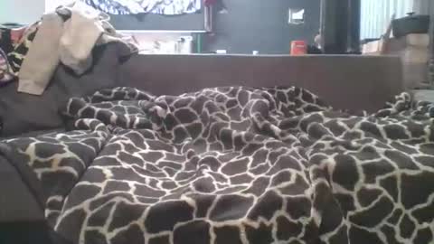 pokerfffface79 online show from 03.27.26