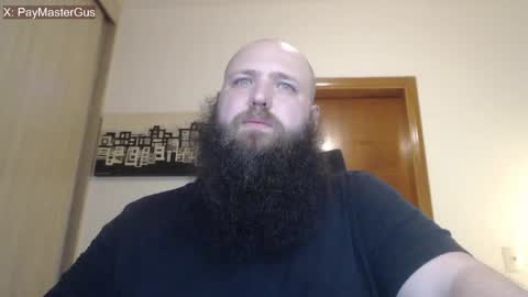 Bear online show from 04.02.26