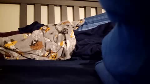 Polebee online show from 01.23.25