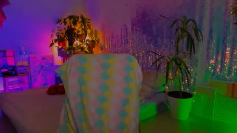 Martha online show from 01.31.26