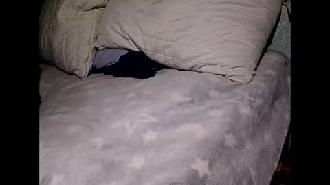 Snapshot of pollachico chatting on 11.28.25 pollachico online show from 11.28.25