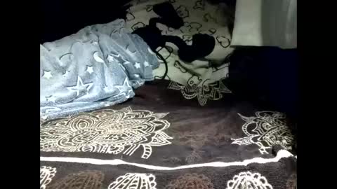 Snapshot of pollachico chatting on 02.18.26 pollachico online show from 02.18.26