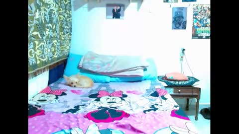 Snapshot of pollon8_kbezon chatting on 01.05.25 Gian online show from 01.05.25