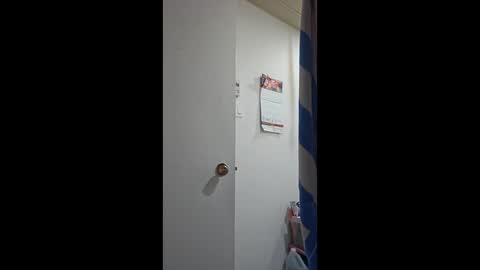 Snapshot of porkynerd chatting on 10.11.25 porkynerd online show from 10.11.25