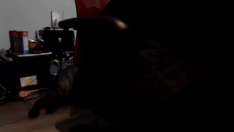 porkdaddy online show from 09.09.25