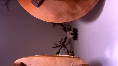 PornStriker online show from 10.19.25