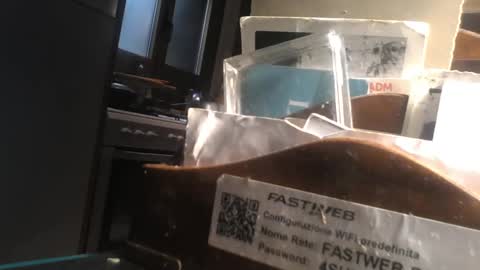 predator19491 online show from 04.11.26