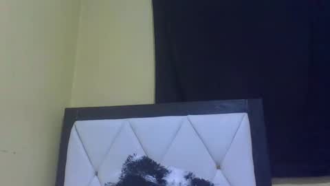 Snapshot of prekky chatting on 02.27.26 lynn online show from 02.27.26