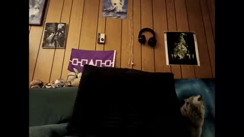 Snapshot of prettysolid7 chatting on 10.15.25 prettysolid7 online show from 10.15.25