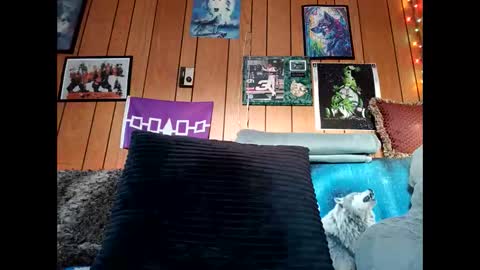 prettysolid7 online show from 02.15.26