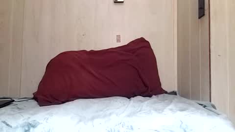 Snapshot of prettysolidd7 chatting on 12.02.24 prettysolidd7 online show from 12.02.24