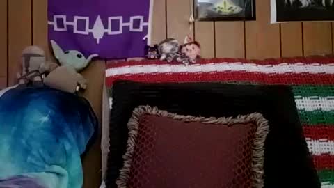 Snapshot of prettysolidd7 chatting on 01.04.25 prettysolidd7 online show from 01.04.25