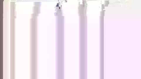 Princess Asshole online show from 04.21.26