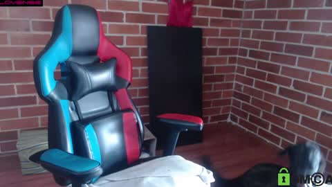 Leia online show from 04.12.26