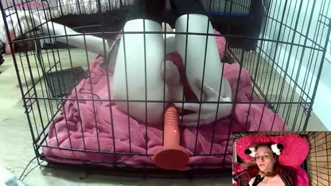 Snapshot of princessjuliaxo4 chatting on 02.03.26 PrIncessJulia0X online show from 02.03.26