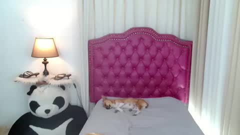 Snapshot of princessyanzy chatting on 01.31.26 princessyanzy1 online show from 01.31.26