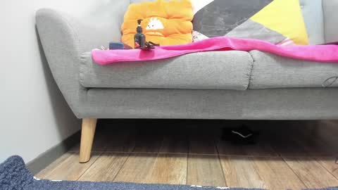 PrittiDitti online show from 01.22.25