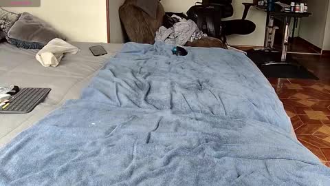 Probardetodo independent model online show from 02.01.26