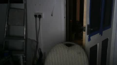 projectorepson online show from 01.19.25