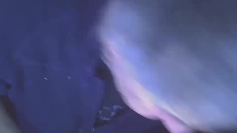 projectorepson online show from 01.11.26