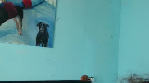 prxscillia_tx online show from 11.06.25