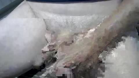 Snapshot of psfunman chatting on 02.13.25 psfunman online show from 02.13.25