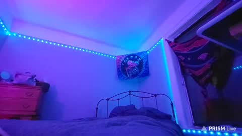 puddled_wonderland online show from 01.29.25