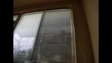 puls920 online show from 10.13.25