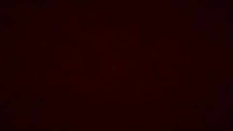 Snapshot of pumpkin_bunny chatting on 12.19.25 Pumpkin bunny online show from 12.19.25