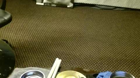 Jojo online show from 11.23.25