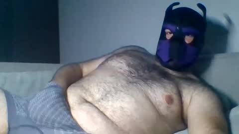 Snapshot of purple_pup_bear chatting on 08.06.26 purple_pup_bear online show from 08.06.26