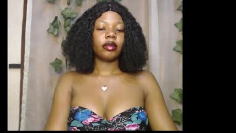 stella online show from 01.31.26