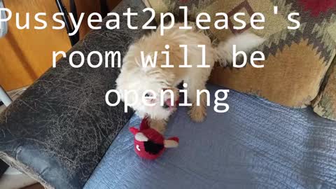 Rick online show from 02.04.25