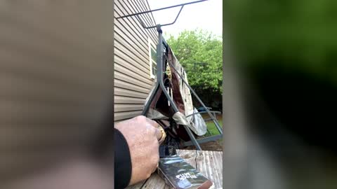 pyrex8 online show from 04.05.26