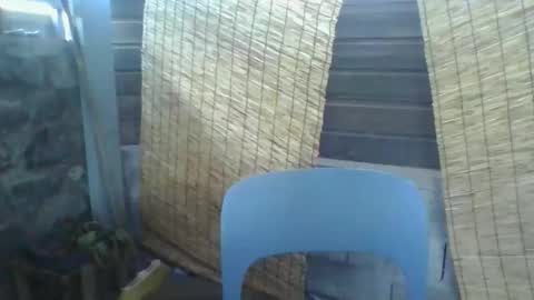 Python online show from 03.10.26