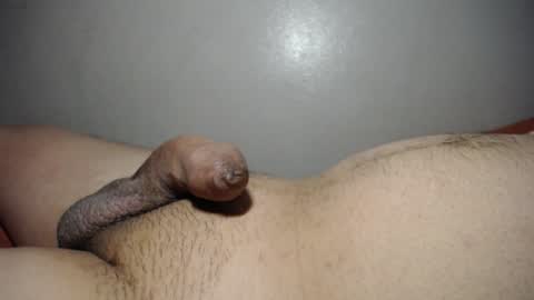 qqqwer21 online show from 01.30.25