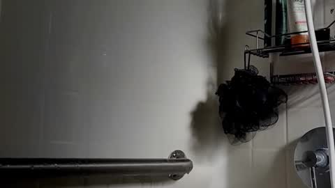 Queen Goddess Loa Erzulie online show from 12.26.24