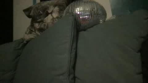 Queen De La Ranch online show from 09.20.25