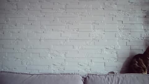 Snapshot of queenofmodels chatting on 11.17.25 QueenOfModels online show from 11.17.25