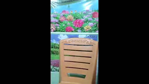 queensuperlady online show from 01.18.26