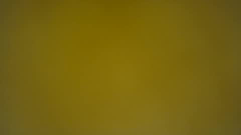 quinnxx online show from 03.11.25