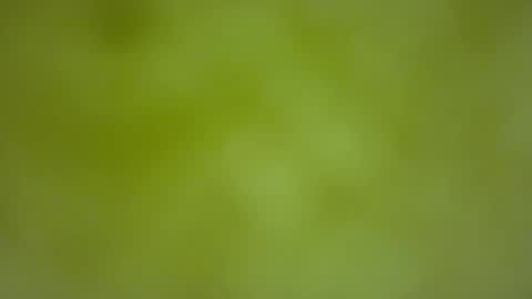 quinnxx online show from 02.22.26