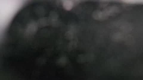 Dmitry online show from 03.11.25