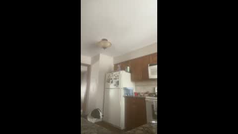 rabbi_poolnoodle online show from 01.16.26