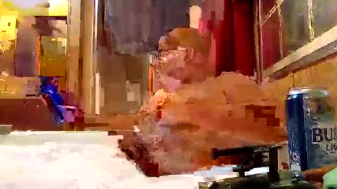 Snapshot of rabidsquirrell chatting on 02.05.25 rabidsquirrell online show from 02.05.25