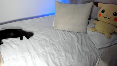 natalia  -  online show from 01.28.25