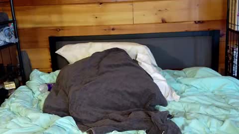 Snapshot of rachelxprice chatting on 03.02.25 Rachel Price online show from 03.02.25